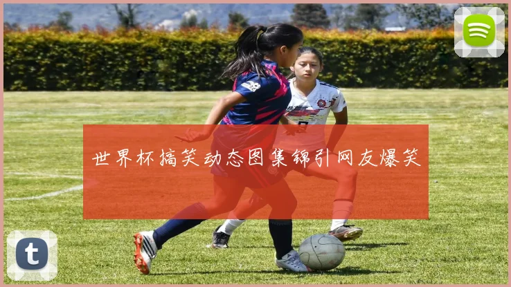 世界杯搞笑动态图集锦引网友爆笑