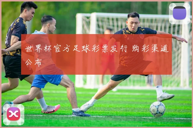 世界杯官方足球彩票发行 购彩渠道公布