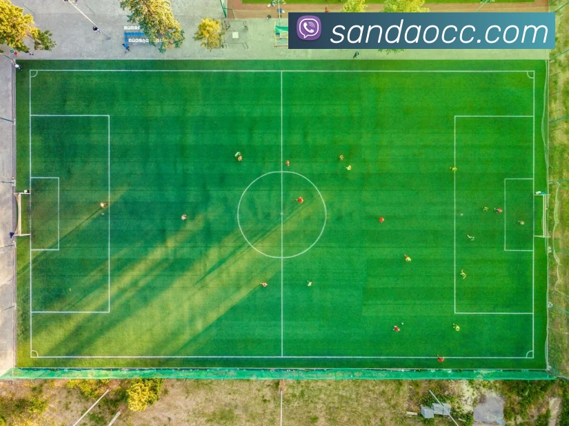 世界杯开户平台服务体系