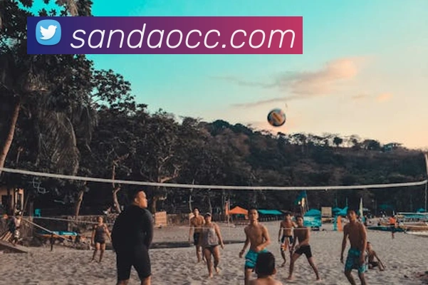 多媒体互动体验